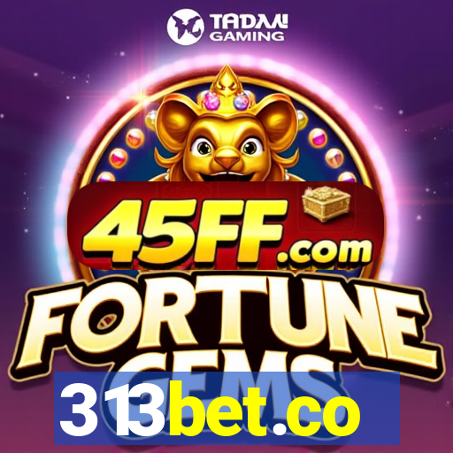 313bet.co