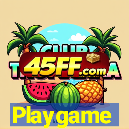 Playgame