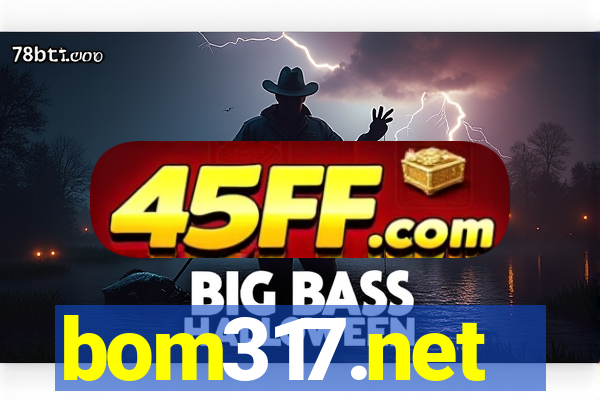 bom317.net