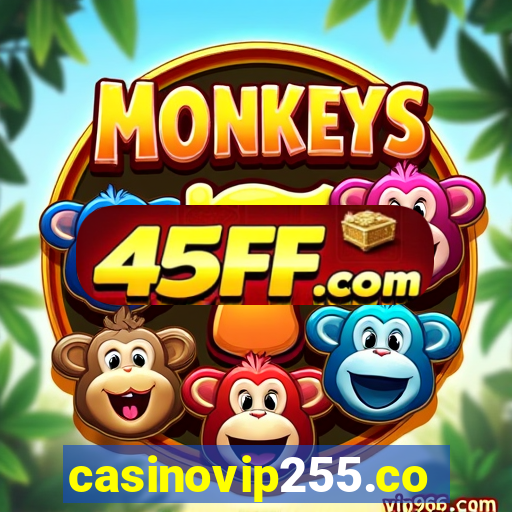 casinovip255.com