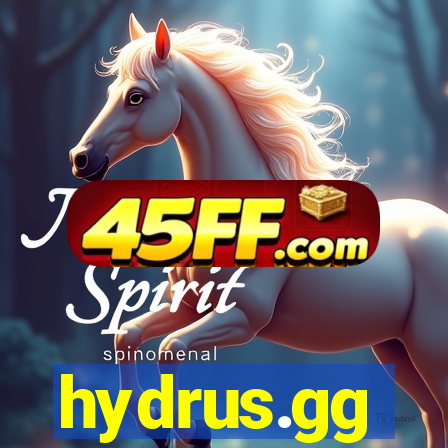 hydrus.gg