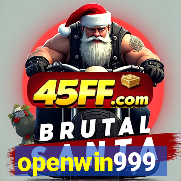 openwin999