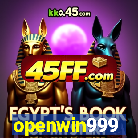 openwin999