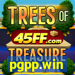 pgpp.win