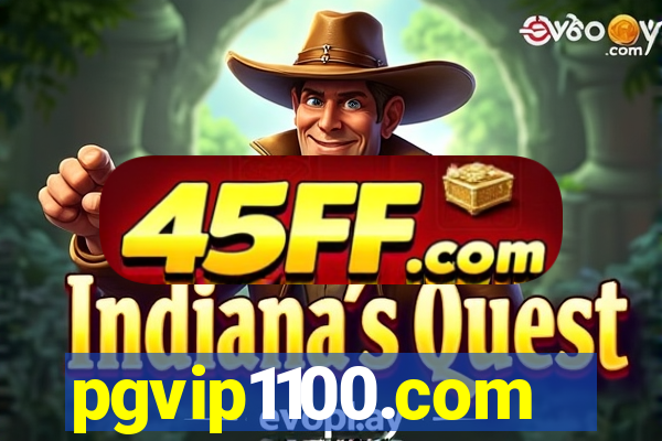 pgvip1100.com